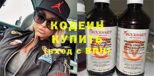 дживик Пересвет