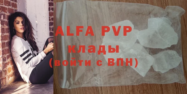 стафф Абинск